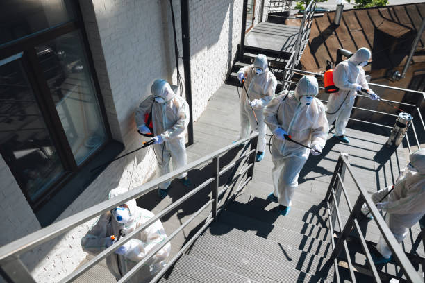 Best Asbestos and Lead Testing During Mold Inspection  in Holiday City Berkeley, NJ