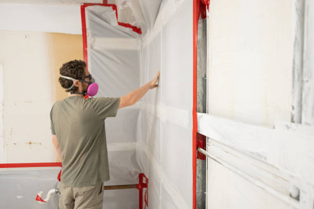 Best Emergency Mold Remediation  in Holiday City Berkeley, NJ