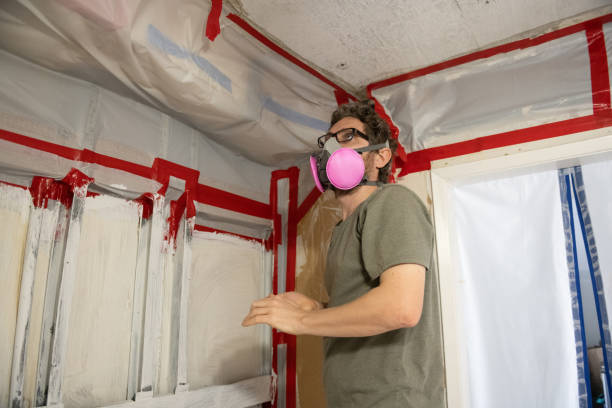 Best Attic Mold Removal  in Holiday City Berkeley, NJ