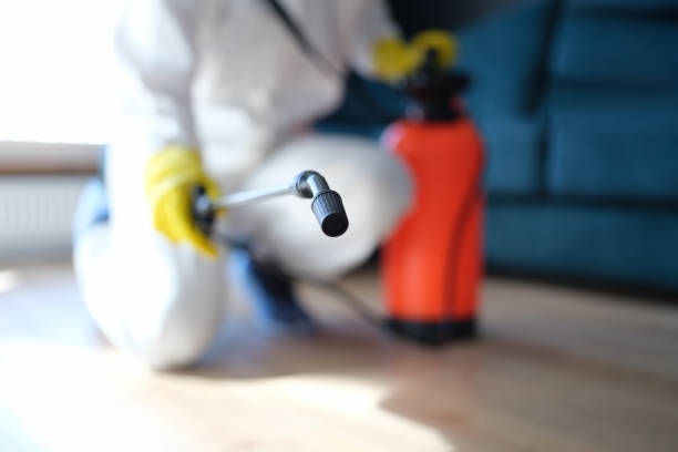 Trusted Holiday City Berkeley, NJ Mold Removal Experts