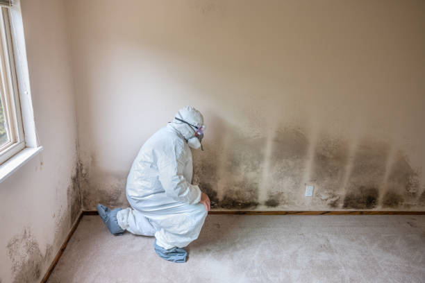 Best HVAC Mold Inspection and Cleaning  in Holiday City Berkeley, NJ
